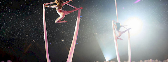 hire aerial performers