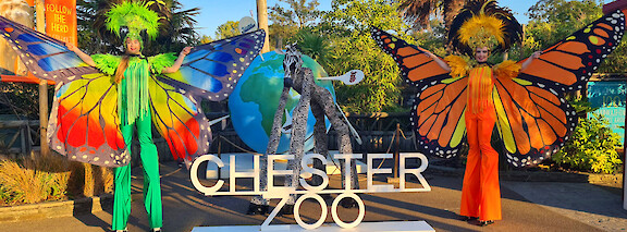 butterfly stilt walker hire uk