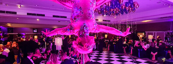 circus aerial hoop dancer hire